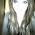 Picture of Georgie Dillon