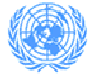 UN logo